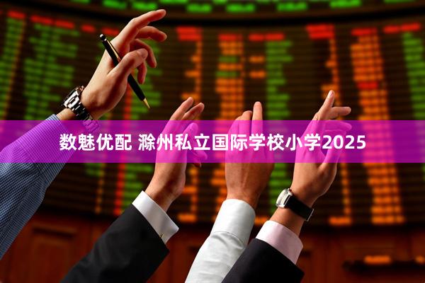 数魅优配 滁州私立国际学校小学2025
