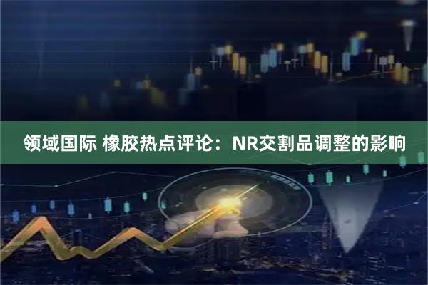 领域国际 橡胶热点评论：NR交割品调整的影响