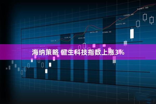 海纳策略 恒生科技指数上涨3%